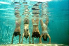four people are swimming in the water with their backs turned to the camera, and they appear to be upside down