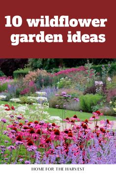 the cover of 10 wildflower garden ideas