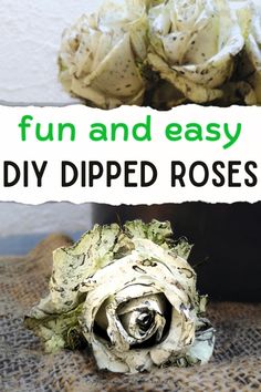 Add something unique to your floral arrangements with these easy to make dipped roses. Our simple step-by-step guide will show you how to give classic white roses a delightful twist. It’s a hands-on project that's both fun and educational, something you can enjoy with the kids or a group of friends.