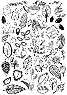 a black and white drawing of leaves