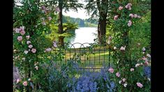 an iron gate surrounded by pink and blue flowers in front of a body of water