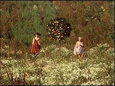 daisies film experimental film stills captioned - Google Search Nature, Scene, Inspiration, Fotografie, Fotografia, Picture