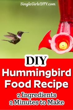The easiest hummingbird food recipe to make for your birds! They can't resist this sugar water mixture! Homemade nectar made with all natural ingredients and no artificial colors, dyes or chemicals.
