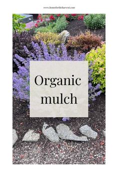 a sign that says organic mulch in front of some flowers and rocks on the ground