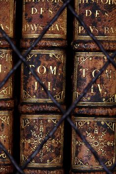 several old books are sitting behind a chain link fence, with gold lettering on them