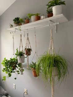 several hanging plants and potted plants in pots on a shelf above a bed or couch