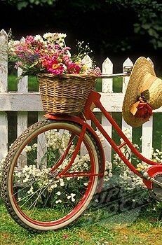a red bicycle with a basket full of flowers and a hat on the handlebars