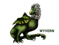 Wyvern! I can't even tell you what part this guy plays in The Inquisitor's Mark ~ release date 1/27/15  (Sketch by Rachel Gillespie) Wyvern, Release, Plays, Guy