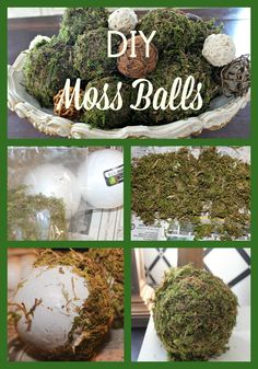 moss balls are arranged on top of a table