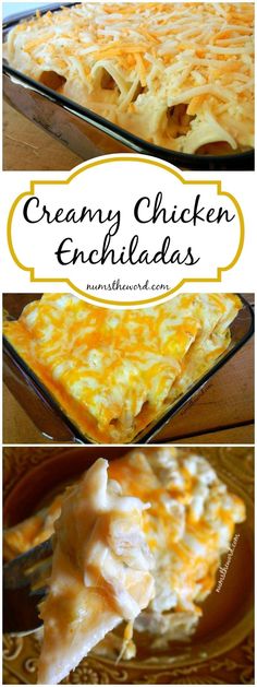 *VIDEO* These simple non-traditional creamy chicken enchiladas are a huge hit with our family. 6 ingredients and 30 minutes is all you need for an awesome meal! Enchiladas, Quiche, Salmon, Mexican Food Recipes, Paleo, Lasagne, Creamy Chicken Enchiladas, Chicken Enchilada Recipe, Chicken Enchiladas