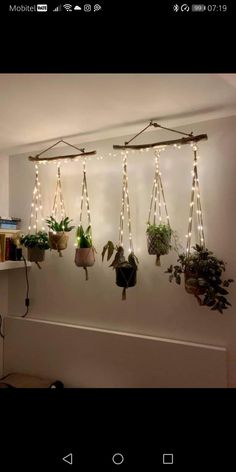 some plants are hanging on the wall with lights