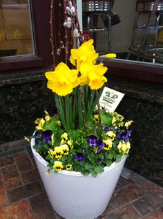Diy, Easter Floral Arrangement, Spring Porch Decor, Spring Flower Decor, Spring Flower Arrangements, Spring Planter, Easter Flowers, Flower Pots Outdoor, Spring Flowers