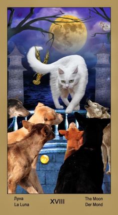 http://www.rozamira-tarot.ru/russkie-kolody-taro/taro-katavasiya-tarot-cat-a-vasya.html Mythology, Animals, Cats, Moon, Tarrot Cards