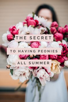 the secret to having peonies all summer