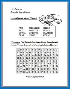 an animal word search is shown in this blue and white printable frame with the words,