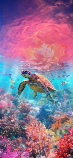 a turtle swimming in the ocean surrounded by corals and other marine life, with colorful clouds
