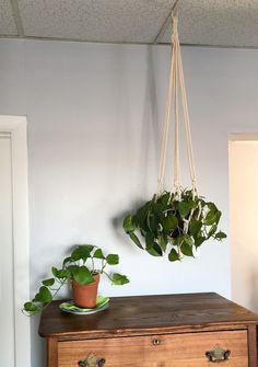 a potted plant hanging from a rope on top of a chest of drawers in a room
