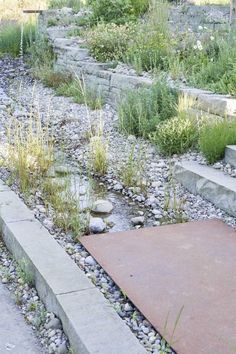 an outdoor garden with rocks and plants