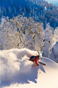 Nature, Aomori, Skiers, Skiing In Japan, Best Ski Resorts, Sky Resort