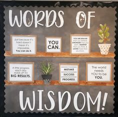 a bulletin board with words on it and some potted plants in the bottom row