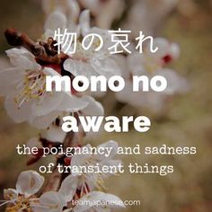 Mono no aware: the Japanese word for the sadness of transient things. For more beautiful and untranslatable Japanese words, visit teamjapanese.com Japanese Phrases, Japanese Words, Japanese Language Lessons, Japanese Language, Japanese Language Learning, Learn Japanese Words, Japanese Language Proficiency Test