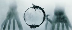 two hands holding a circular object in the middle of some foggy area with trees growing out of it