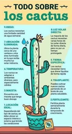 Cactus, Eco Garden, Vida, Frases, Cactus And Succulents, Flores, Secret Garden, Plant Care, Tips
