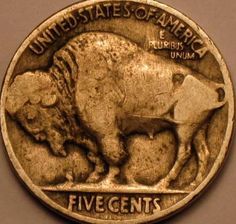 1924 P Buffalo Nickel Canadian Coins, Buffalo Nickel, Antique Coins