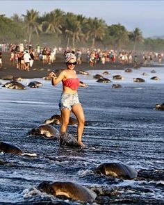 How not to take a vacation. Be a responsible tourist. Nature, Selfie, Tourist, Playa, Vacation, Beach, Travel News, Coast, Tourism
