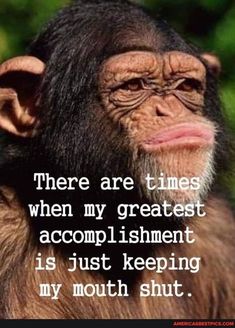 a chimpan monkey with the caption, there are times when my greatest accompl ishinent is just keeping my mouth shut