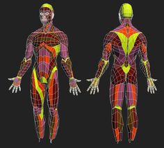 Форум .:3DCenter.ru:. [Форум Invision Power Board] Human Body, Computer Graphics, Wireframe, Human Base