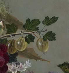 a painting of flowers and fruit hanging from a branch with green leaves on the branches