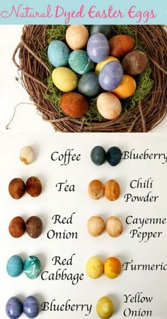 an easter egg hunt with different colored eggs in the nest and on the side, there are