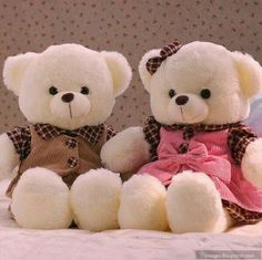 Bebe, Teddy Day, Bear Wallpaper, Bear Pictures, Cute Teddy Bear Pics, Bear Images, White Teddy Bear