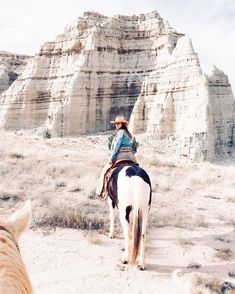 horseback Cowgirls, Friends, Photos, Pretty Horses