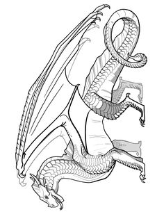 a black and white drawing of a dragon with its tail curled up in the air