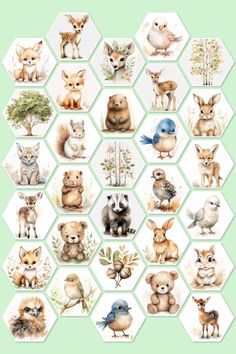 a bunch of animals that are on top of a green background with white hexagons