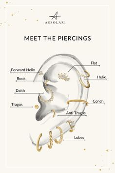 the parts of an ear in gold and white, with words describing which parts are labeled