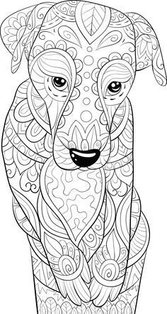 an adult coloring book with a dog's face
