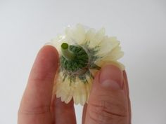 a person holding a tiny flower in their hand