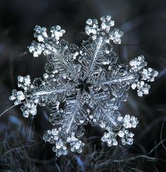 a snowflake is shown in the middle of some grass and it looks like something out of space