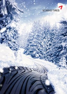 an advertisement for the winter tires brand is shown in front of snow covered pine trees