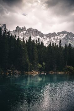 + Forests, Mountains, Beautiful Landscapes