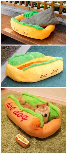 there are three pictures of hot dogs on the ground and one is in a dog bed