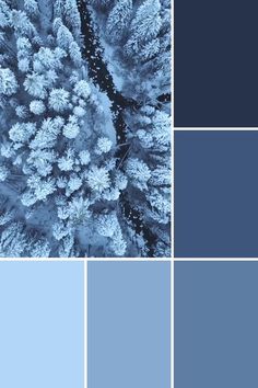 Color Schemes Bedroom, Blue Color Scheme, Blue Palette Colour Schemes, Colour Palette Blue, Color Palette Blue, Blue Color Palette, Blue Scheme, Aesthetic Colours, Color Palets