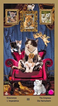 Таро Катавасия (Tarot Cat-A-Vasya) | Энциклопедия карт Таро и оракулов Rozamira Big Cats, Cat Pics, Iii, The Empress