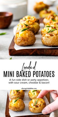 Sour Cream, Loaded Baked Potato Bites, Potato Appetizers, Cheddar Cheese, Baked Potato Toppings
