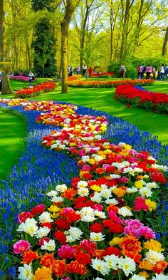 Floral, Inspiration, Gardening, Beautiful Flowers, Beautiful Flowers Wallpapers, Beautiful Flowers Garden, Pretty Flowers, Flowers Nature, Beautiful Nature Wallpaper