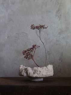 Plants, Interior, Flora, Décor, Decor, Floor Vase, Decorative Accessories