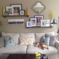 a dog laying on a couch in a living room with pictures above the couch and coffee table